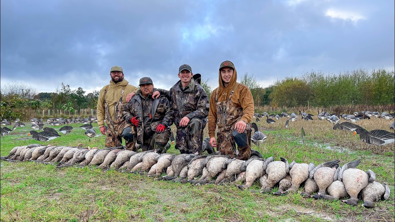 Goose Hunting SCOTLAND United Kingdom Pink Footed Geese! (50 BIRDS DOWN!)