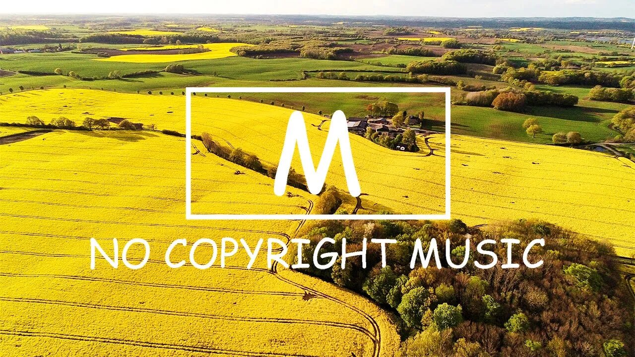 Andrew Applepie - Gitty Cat（Mm No Copyright Music）