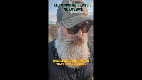 Illegal's Can vote & Have guns