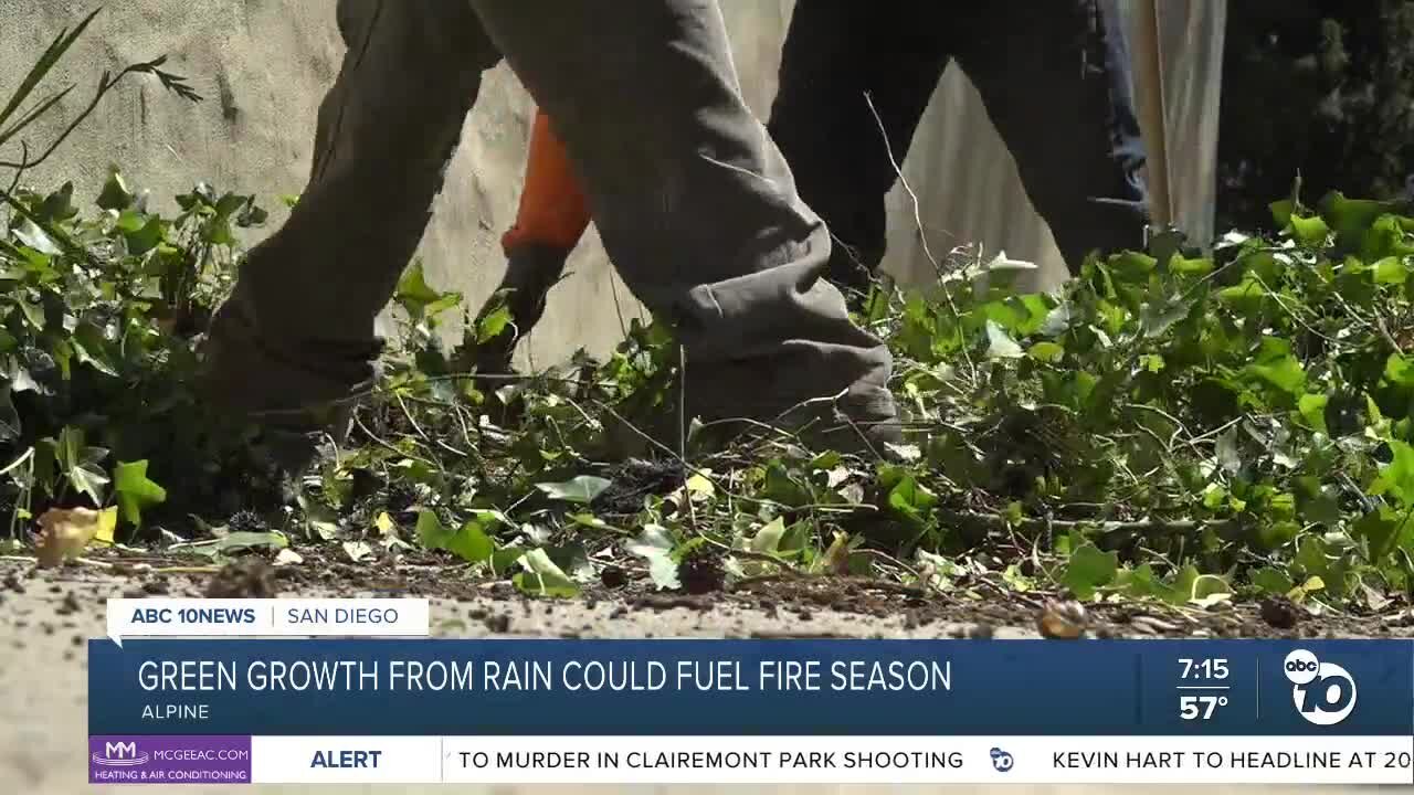 New green growth across San Diego could fuel fire season