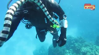Deadliest Lifesavers | Morning Blend