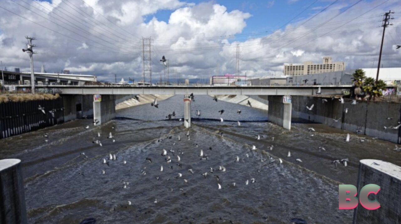 Pounding rains force millions of gallons of raw sewage to spill from LA sewers