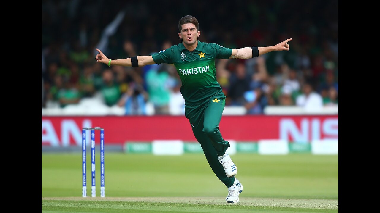 Shaheen Shah Afridi All Wickets In World Cup t20 2022🥶🔥🥵🥵🔥🥶