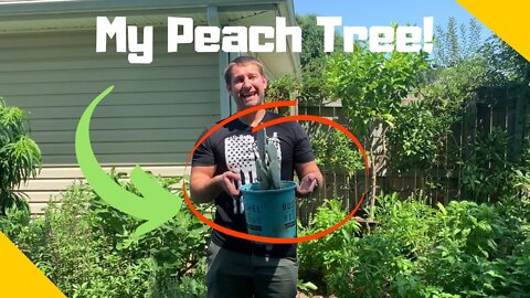 Plant Fanatics Blooper Reel | Part 1| HILARIOUS!