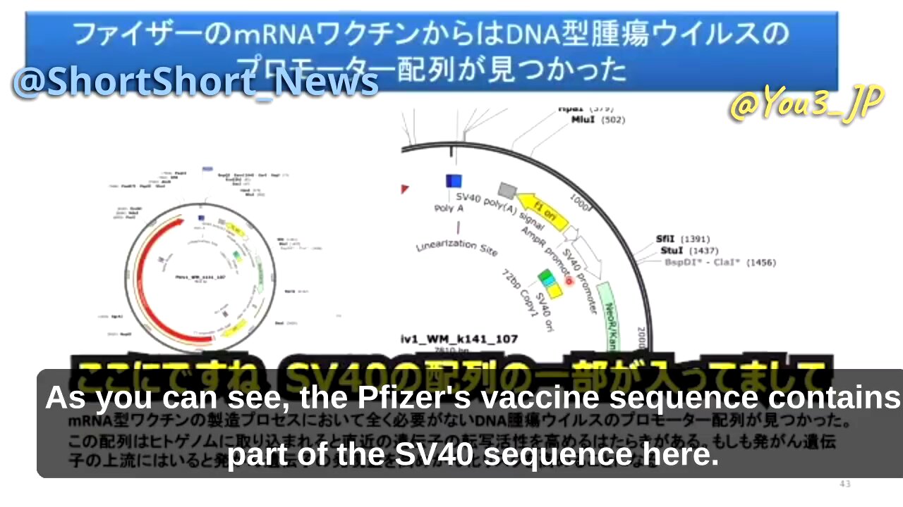 MALICIOUS! Prof. Murakami discusses cancer promoting DNA sequence found in Pfizer jabs