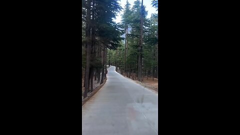 Ushu Forest kalam 🌲🌲🌲 #kalam #kpk #beautiful #beauty #beautifulkpk #pakistan #viralvideo