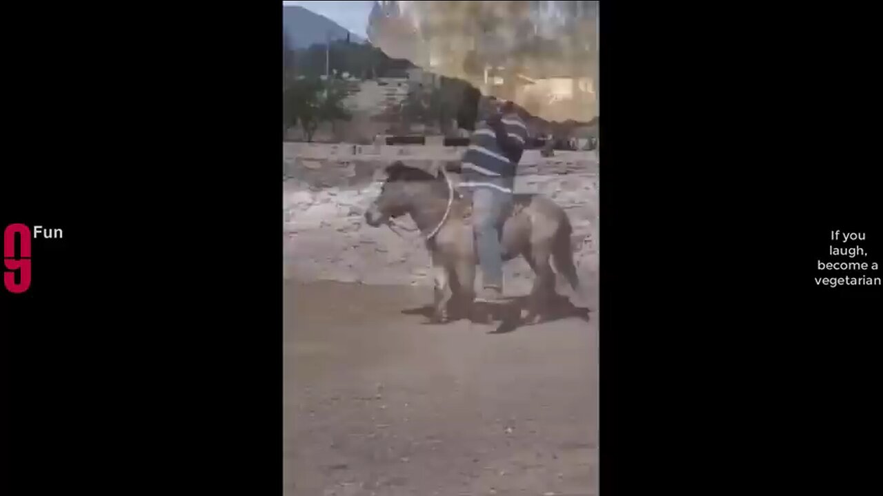 try not to laugh