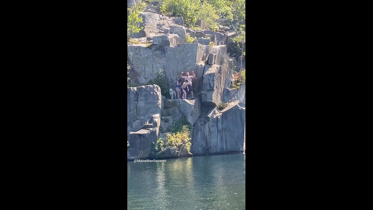 Swan Diving off Long Cove