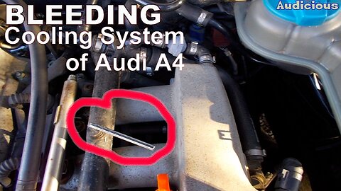 Burping (Bleeding) Cooling System of Audi A4 Quattro