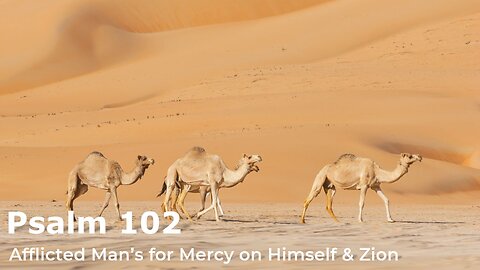PSLAM 102 // A Prayer For The Afflicted
