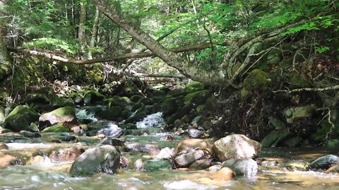 Tumbling Brook in Northern MA