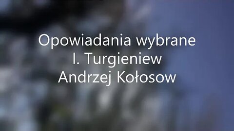 Opowiadania wybrane -I.Turgieniew Andrzej Kołosow audiobook