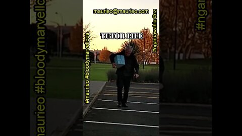 maurieo #shorts TUTOR LIFE