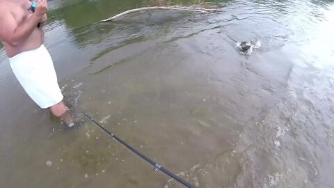 #ohiofishing #creekfishing Fishing an OHIO CREEK and just having FUN!!!
