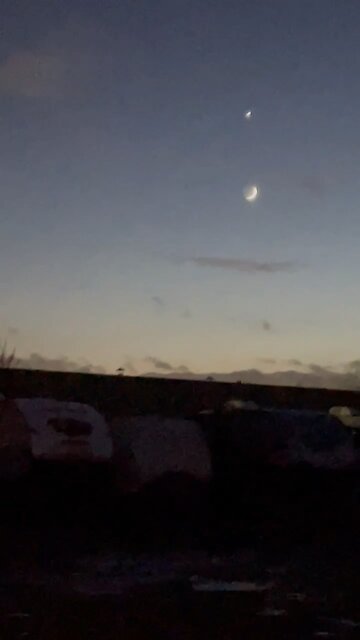 I’m new here, please show some love.