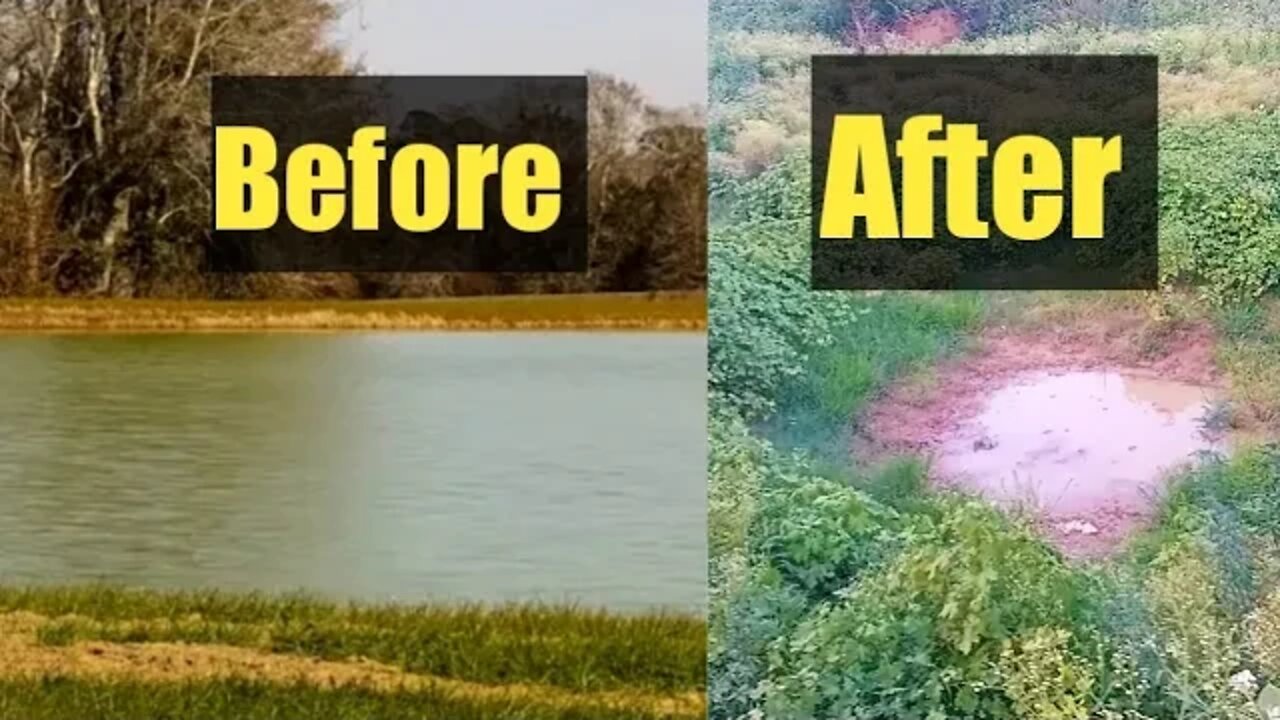 गाँव का सूखा जोहड़ । dry pond of village. #dailyvlogs #dailyvlogs