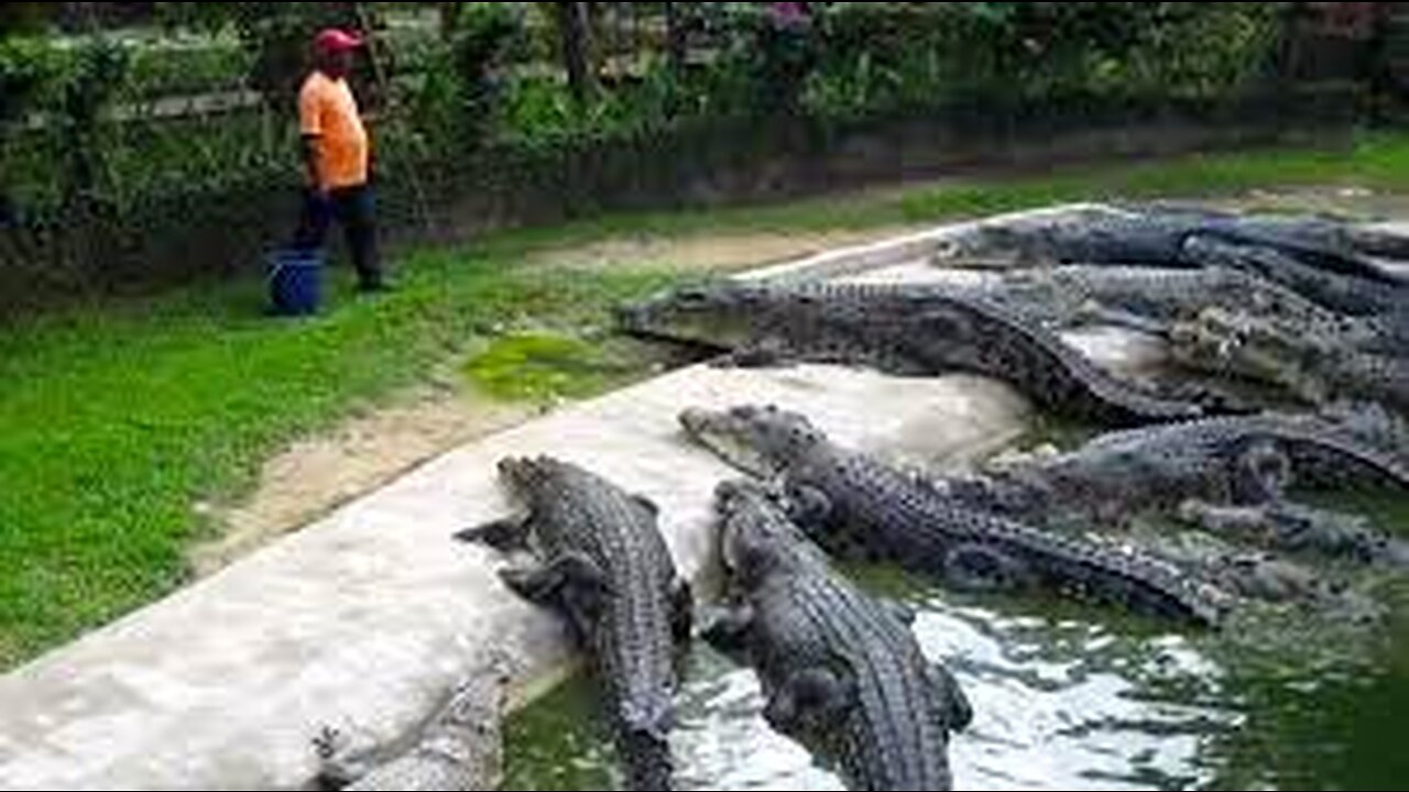 15 Moments You Wouldn’t Believe If Not Filmed