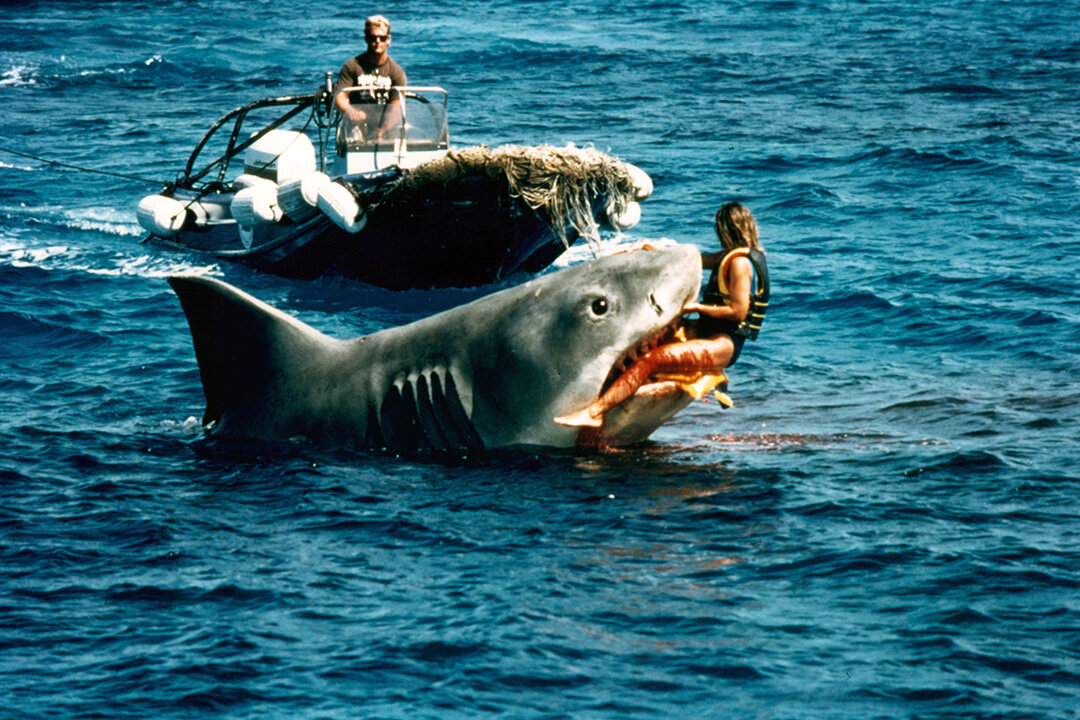 Shark Take Revenge
