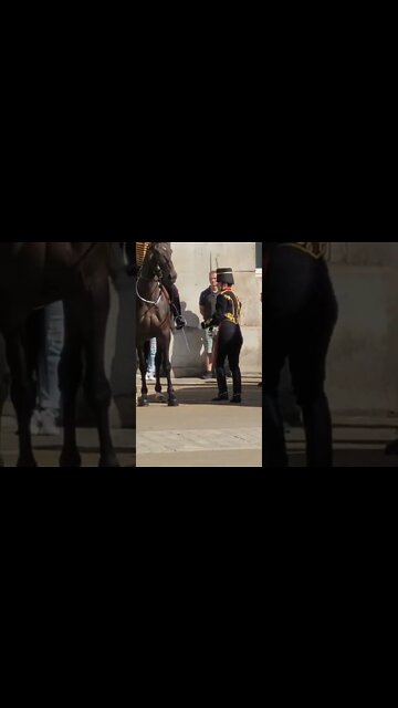 First horse change of the day #horseguardsparade
