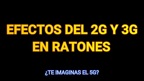 Efectos 2G y 3G en Ratones Te imaginas el 5G