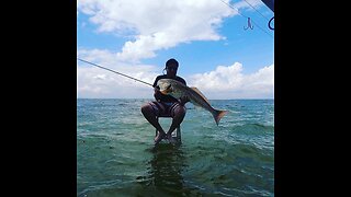 MONSTER REDFISH!