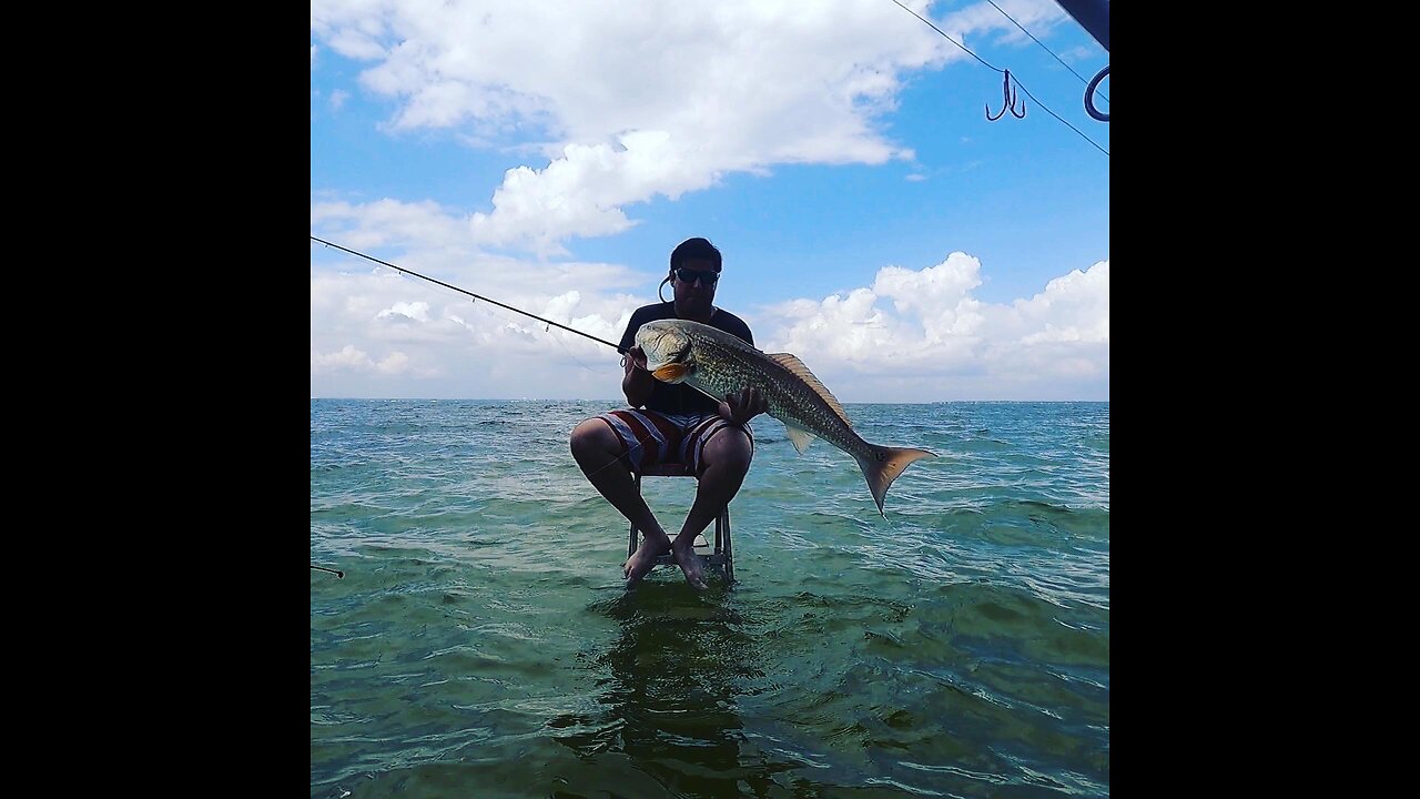 MONSTER REDFISH!