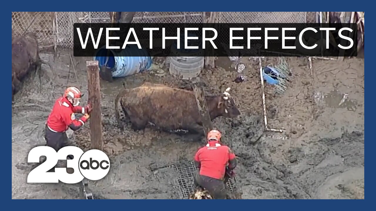 Severe weather leads to mudslides, evacuations and animal rescues