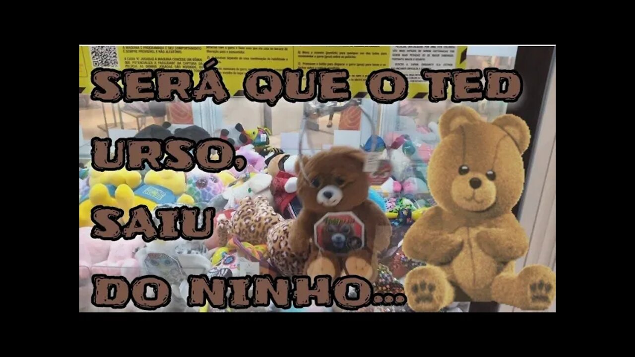 PEGANDO O FEISTY PETS TED URSO 🐻🐻🐻