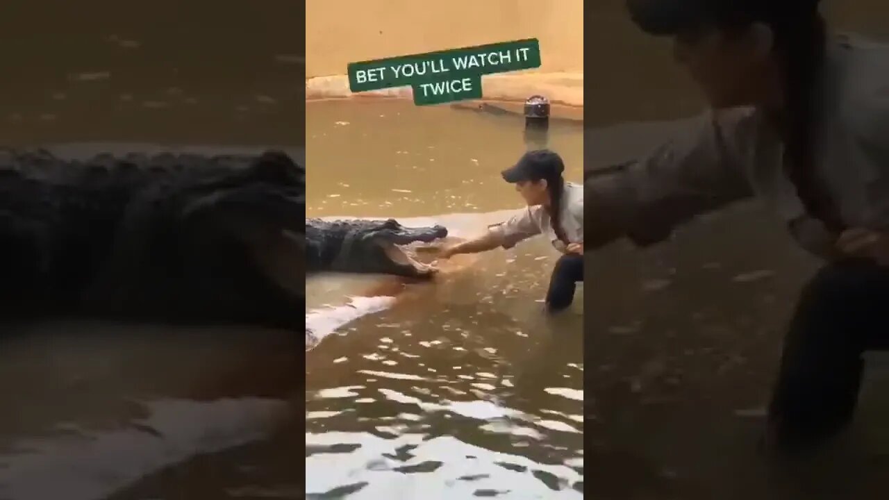 ela quase perdeu a mão 😱😱😱