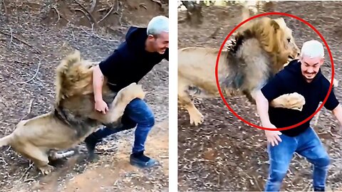 The dreaded Tiger 🐅 caught this man 😱 | Tiger Attack | #shorts