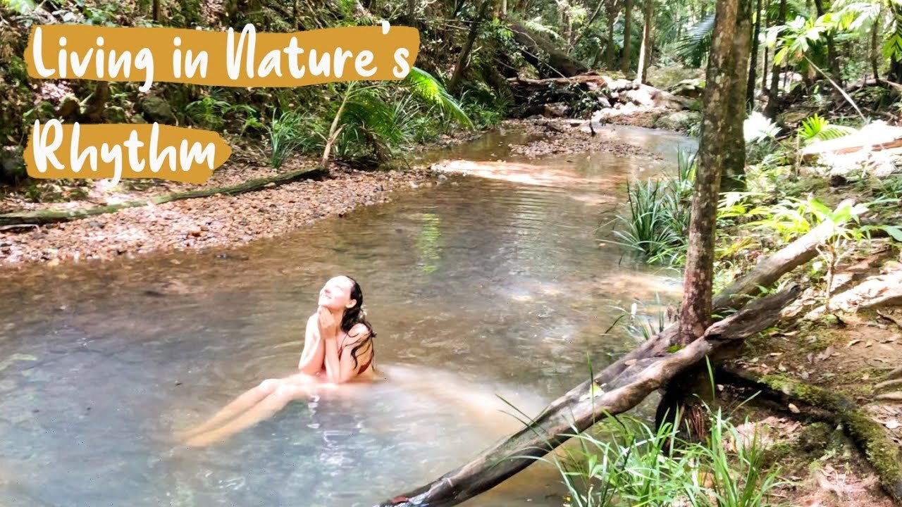 Daily Routines In The Australian Rainforest