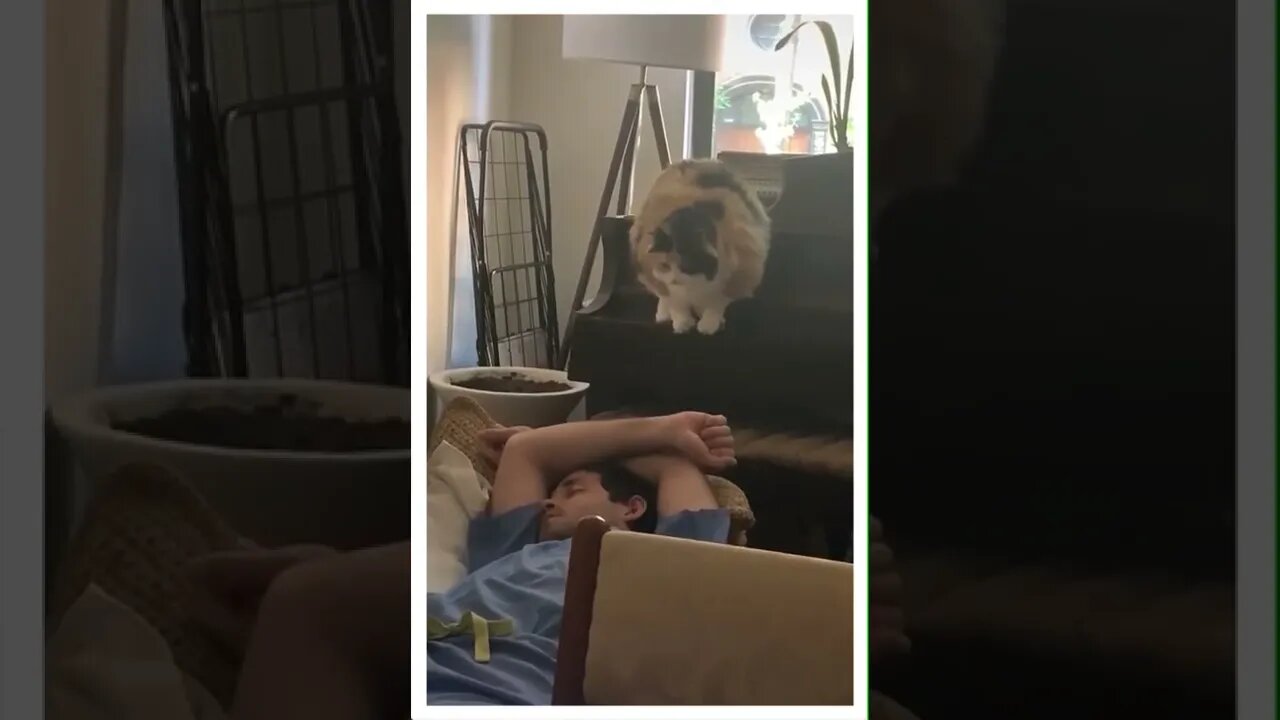Having a good nap, I see