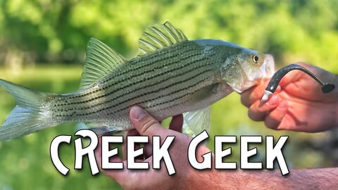 Creek Fishing for bass