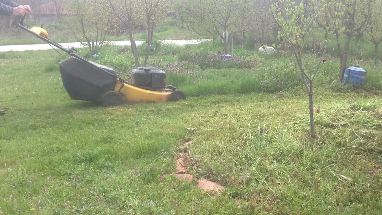 1st cutting of weeds with a lawn mower (P1)