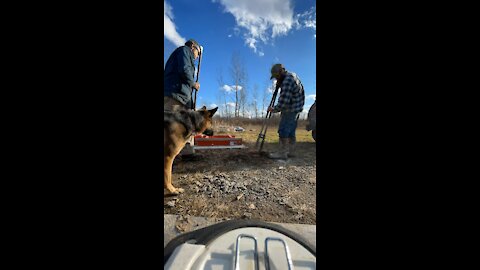 Sawmill Shed Time-lapse 1