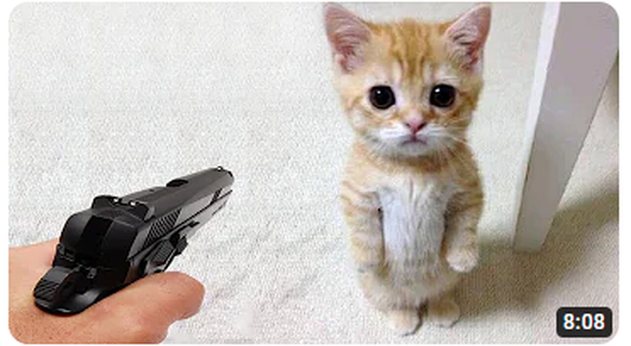 Funniest Animals 2023 π Funny Dogs and Cats Videos πΊπΆ Part 2
