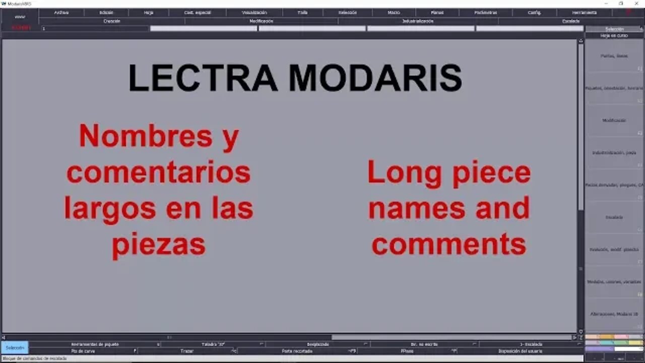 049- Nombres y comentarios más largos en Lectra Modaris