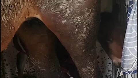 Dyani's first night day as a new born 18/6/2018