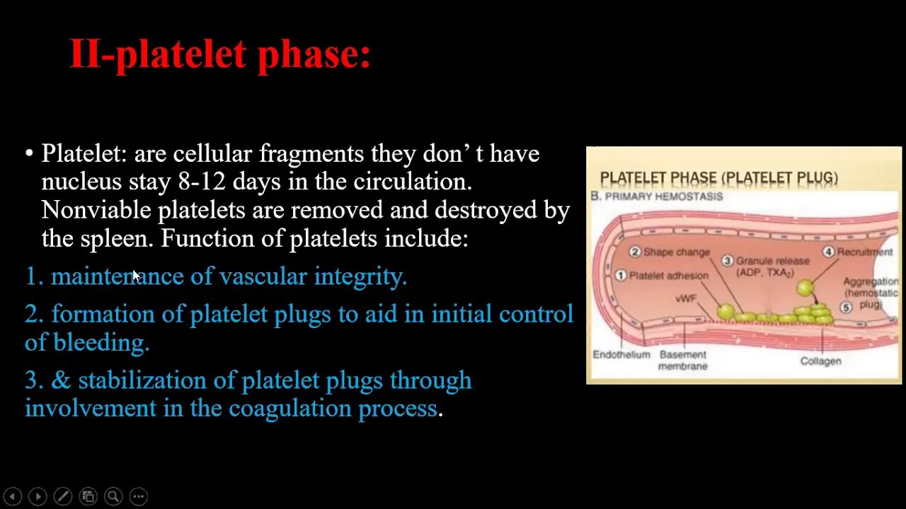 Oral surgery L7 (Bleeding disorders)