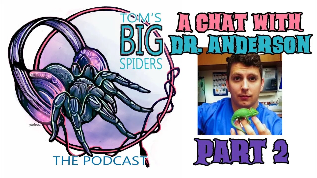 A Chat with Veterinarian Dr. Andy Anderson About Tarantula Health Pt. 2 (TBS Podcast)