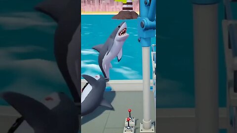I GOT ATTACKED BY A SHARK...