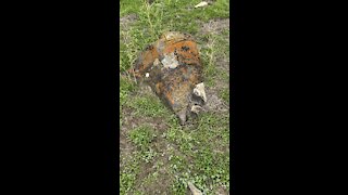 Orange Rock