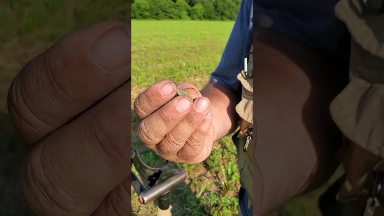 1889 Indian head #civilwar #metaldetecting #coins #shorts