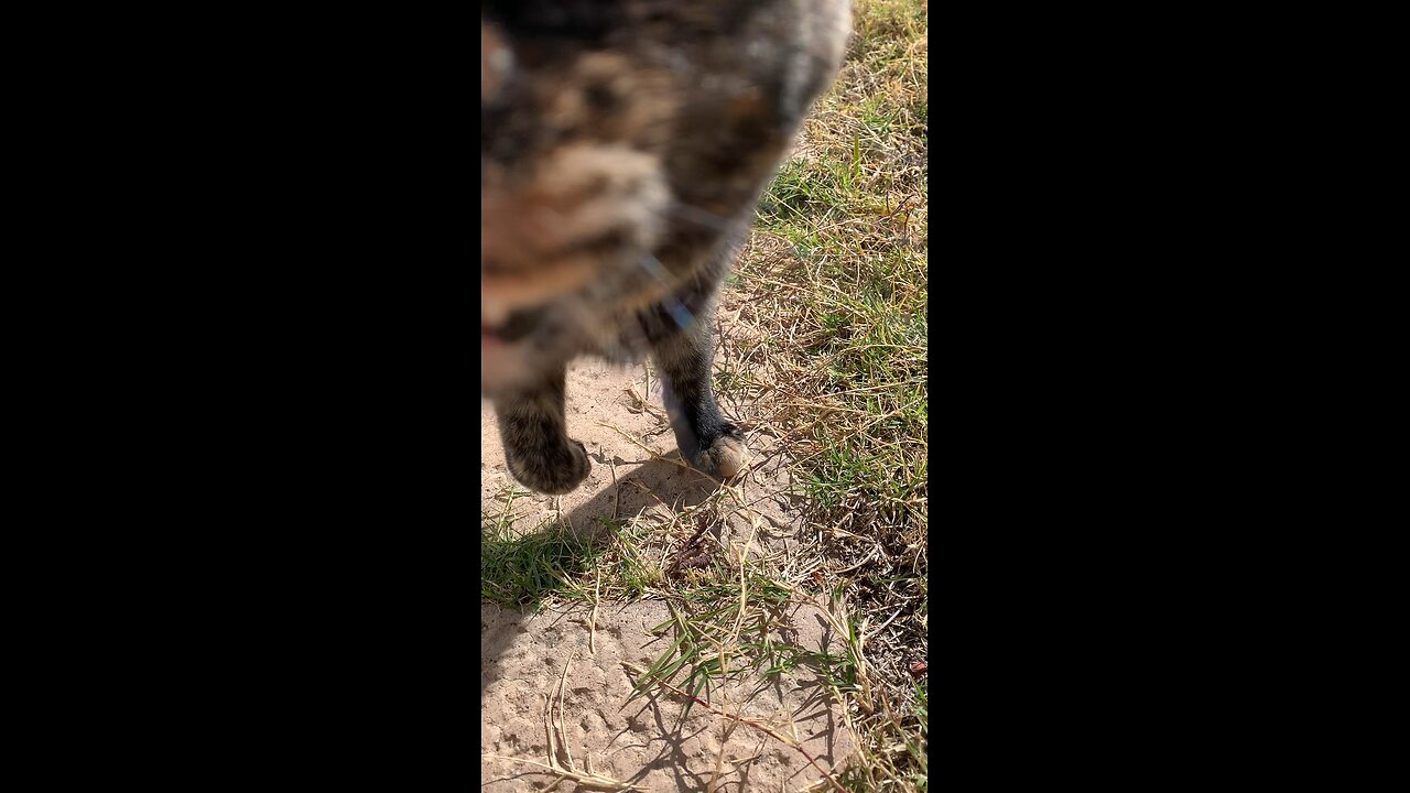 Squirrel is ready for her close-up