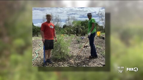 FGCU students help gopher tortoises