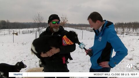 Chiefs G.O.A.T. advice