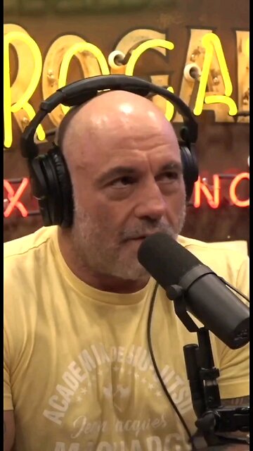 Living in a Brothel at 12: A Wild Story! #wild #story #joerogan