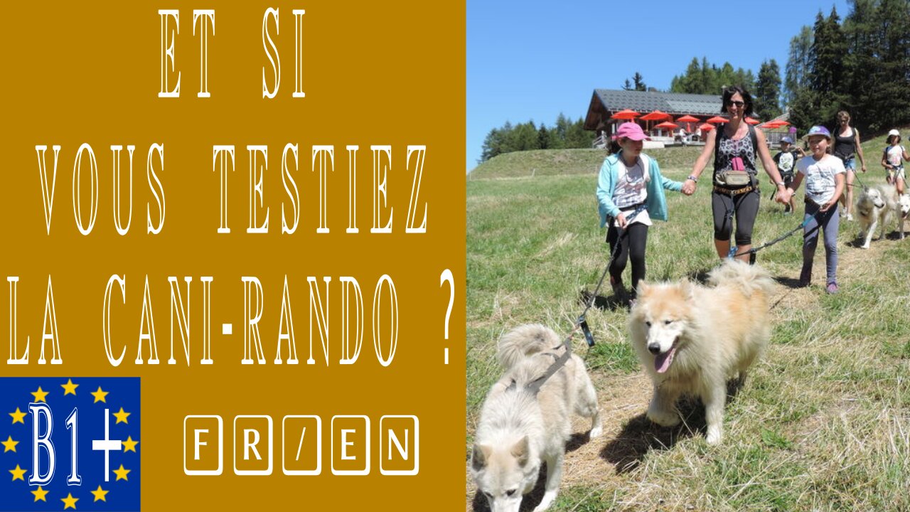 Et si vous testiez la cani-rando ?