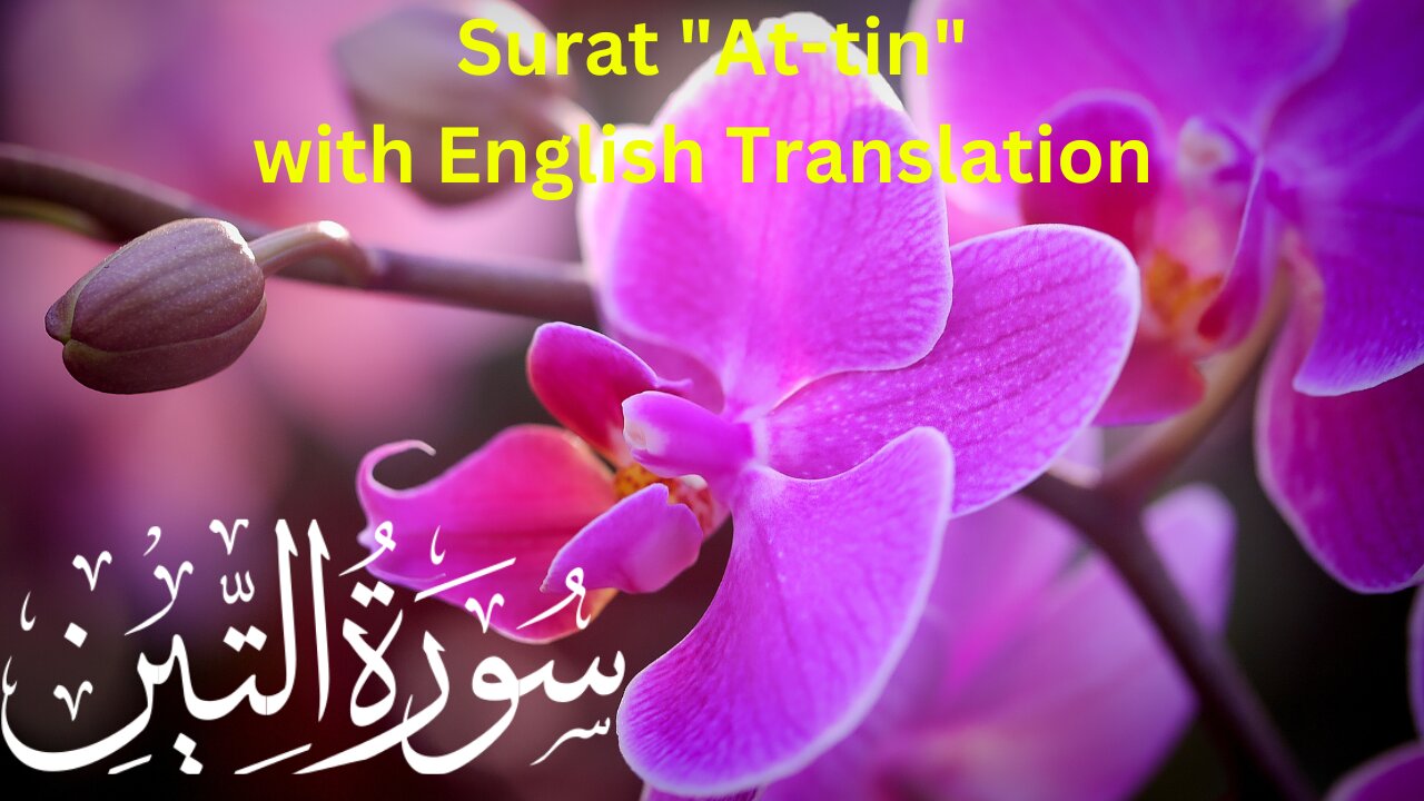 Surat At-tin in beautiful voice with English Translation