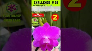 CHALLENGE # 29 |WHATS IS NAME OF THIS ORCHIDS?|YOU WANT TO LEARN? |# SHORT